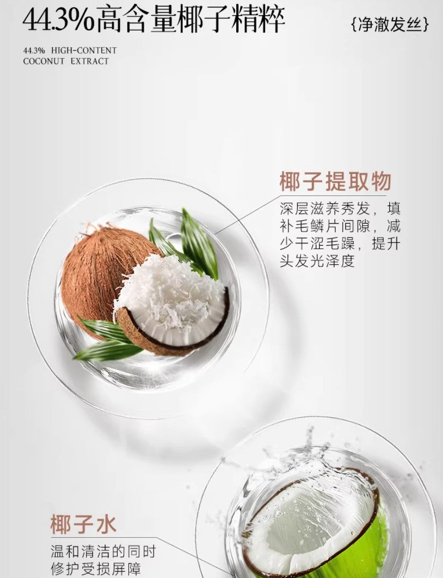 Tiktok/Douyin Hot TELL DO Coconut Fluffy Shampoo 450g【Tiktok抖音爆款】弹动椰子蓬松洗发水