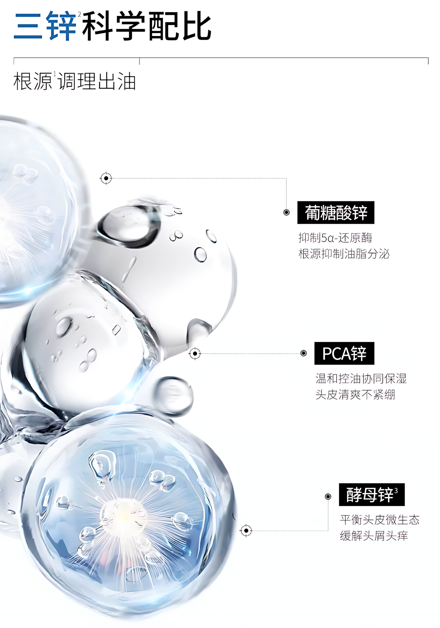 Tiktok/Douyin Hot 3odice Anti Hair Loss Dandruff Control Oil Control Shampoo 200ml/400ml【Tiktok抖音爆款】三蒂丝防脱去屑控油洗发水