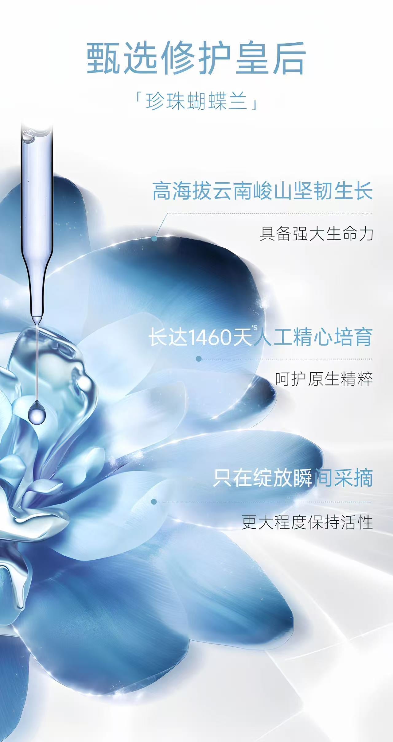 Tiktok/Douyin Hot SHUMEI Radiant/Volumizing Lip Essence Honey 3.8ml【Tiktok抖音爆款】小树美焕彩/丰盈唇部精华蜜