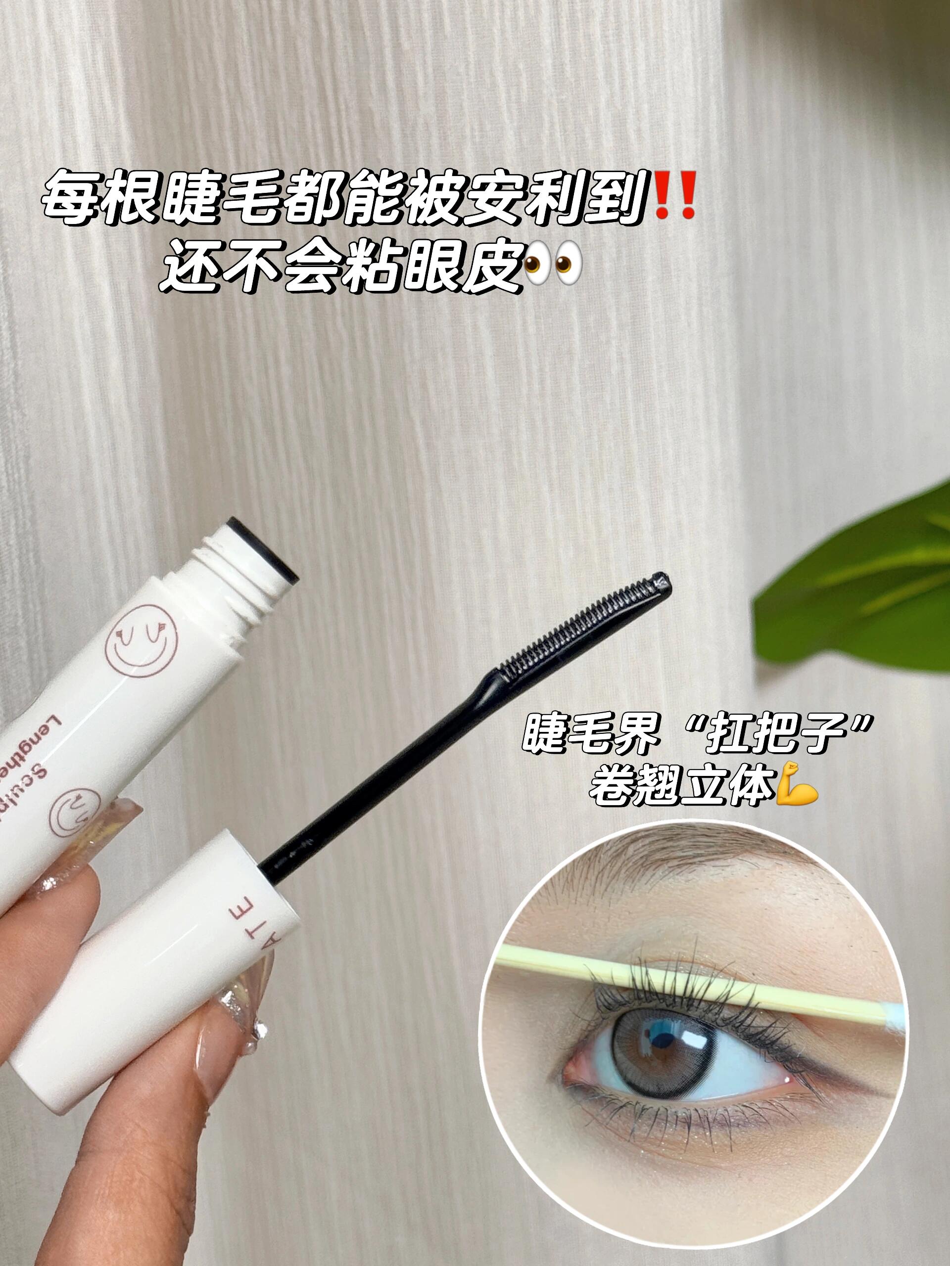 Tiktok/Douyin Hot MAYCREATE Lengthening and Curling Lash Primer 5g【Tiktok抖音爆款】 健美创研纤翘定型睫毛打底膏
