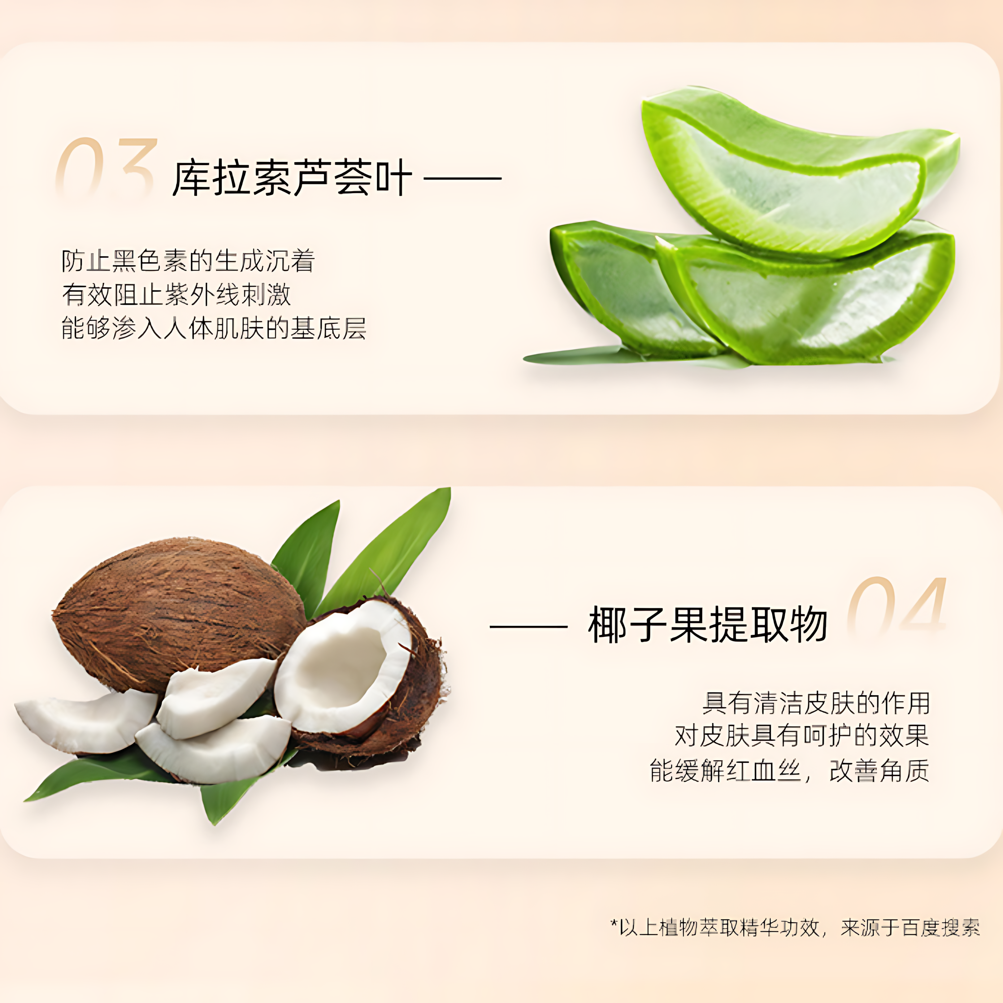 BH Dual Concealer 3.8g+2.6g BH双色遮瑕膏