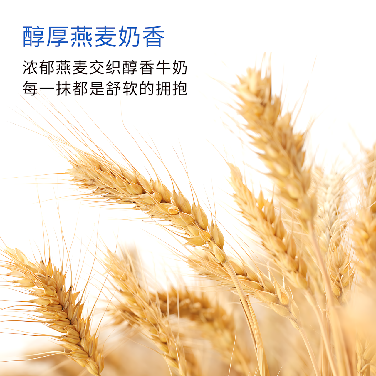 ddg Purified Moist Cleansing Balm 4.0 110ml ddg净透轻润卸妆膏4.0
